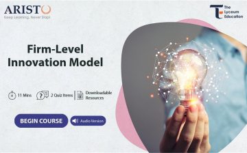 Firm-Level Innovation Model